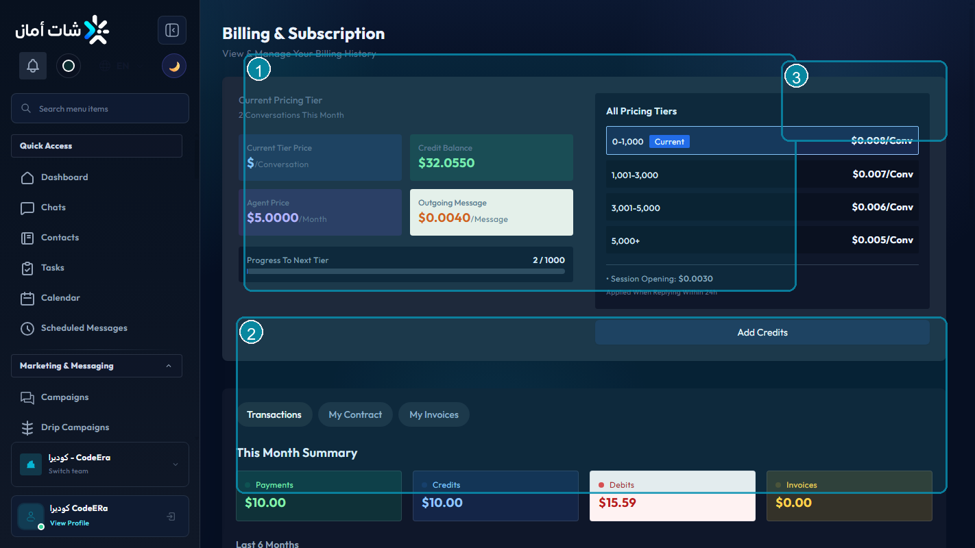 CodeEra billing and organization settings inside Chataman