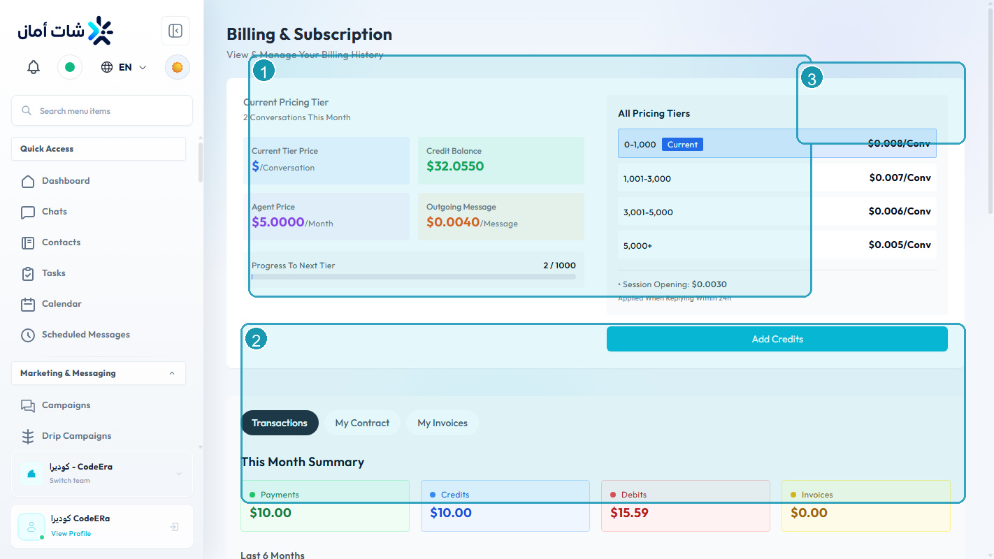 CodeEra billing and organization settings inside Chataman